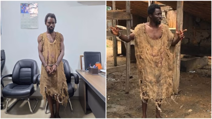 Ebo Noah arrested